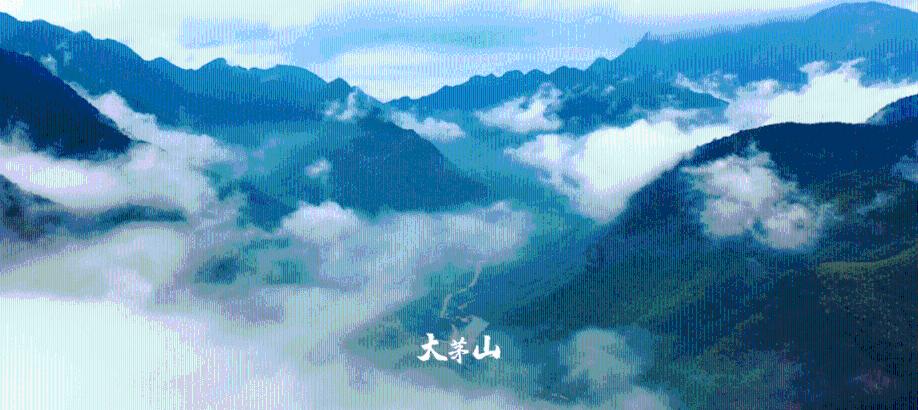 近期现多起“偷拍乌龙”事件，被冤枉者如何理性维权？游戏画面